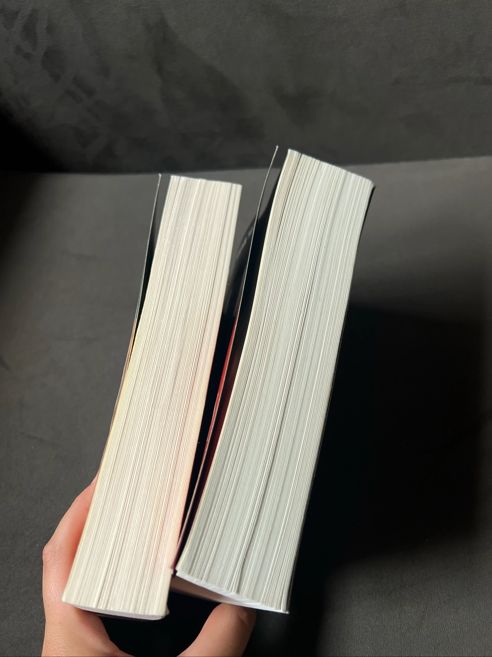 Les 2 tomes de Los Intocables – Amar Lune – photo 2